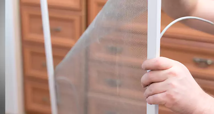 Privacy Mesh Screen Door Installation in Melbourne, FL